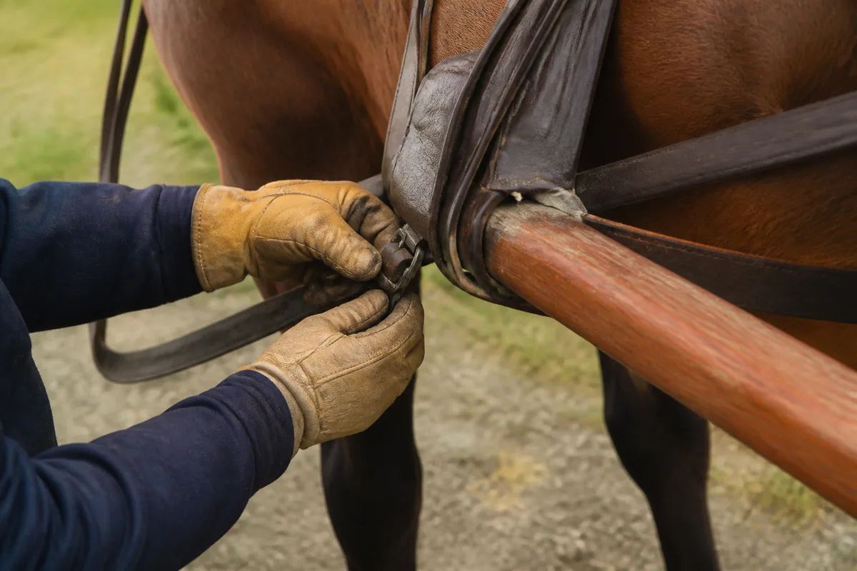 Cheval de trait attelé à une voiture à quatre roues sur un chemin de campagne, une personne tenant la tête du cheval